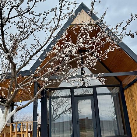 Coral Houses Tossor Ngoại thất bức ảnh